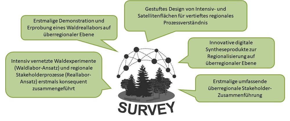 In der Mitte der Grafik ist das SURVEY-Logo, umgeben von Sprechblasen, in denen ein paar Schlagworte zum Projekt stehen.